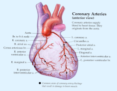 arytmia serca